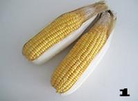 ׵ͼ1
