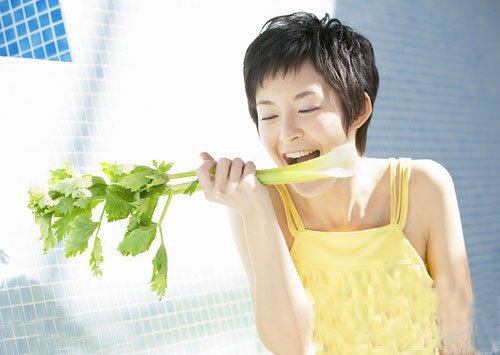 素食主义